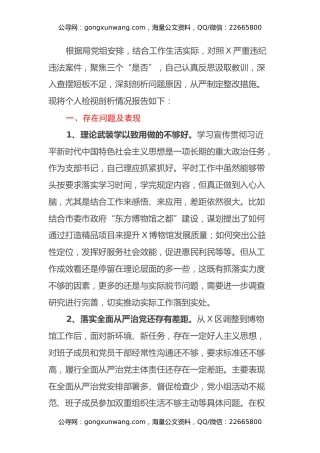 文物局长以案促改专题民主生活会检视剖析材料