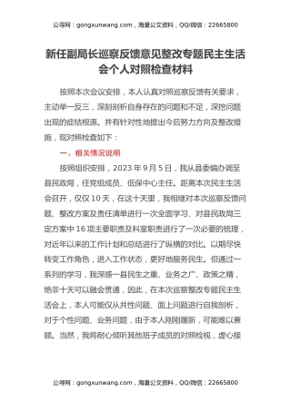 新任副局长巡察反馈意见整改专题民主生活会个人对照检查材料
