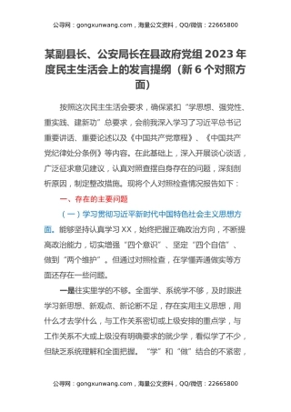某副县长、公安局长在县政府党组2023年度民主生活会上的发言提纲（新6个对照方面）
