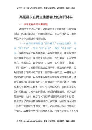 某副县长在民主生活会上的剖析材料