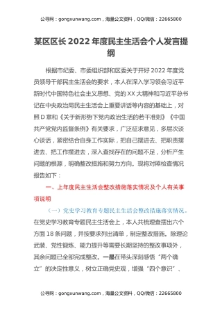 某区区长2022年度民主生活会个人发言提纲