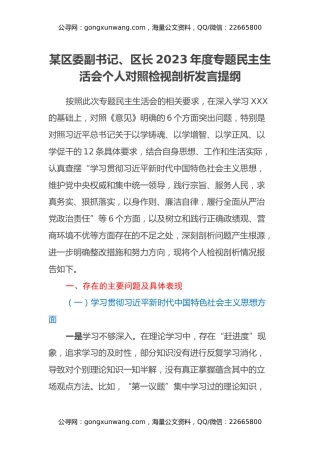 某区委副书记、区长2023年度专题民主生活会个人对照检视剖析发言提纲