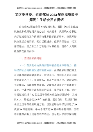 某区委常委、组织部长2023年巡视整改专题民主生活会发言提纲