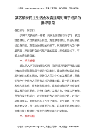 某区镇长民主生活会发言提纲对班子成员的批评意见