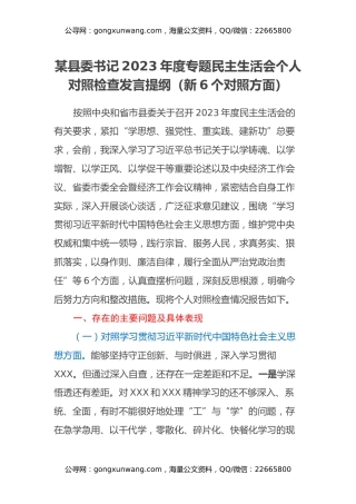 某县委书记2023年度专题民主生活会个人对照检查发言提纲（新6个对照方面）