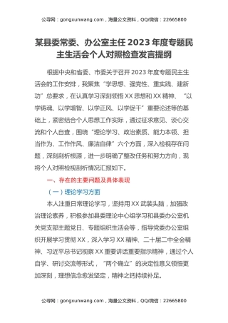 某县委常委、办公室主任2023年度专题民主生活会个人对照检查发言提纲