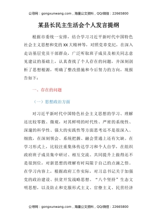 某县长民主生活会个人发言提纲