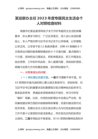 某巡察办主任2023年度专题民主生活会个人对照检查材料
