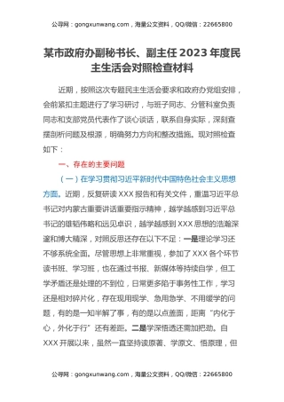 某市政府办副秘书长、副主任2023年度民主生活会对照检查材料（第二批、新六个方面）