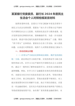 某某银行党委委员、副行长2024年度民主生活会个人对照检视发言材料（四个带头+典型案例剖析）