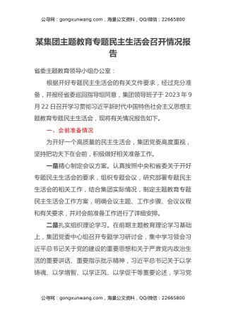 某集团主题教育专题民主生活会召开情况报告