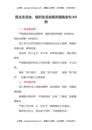 民主生活会、组织生活会整改措施金句60例