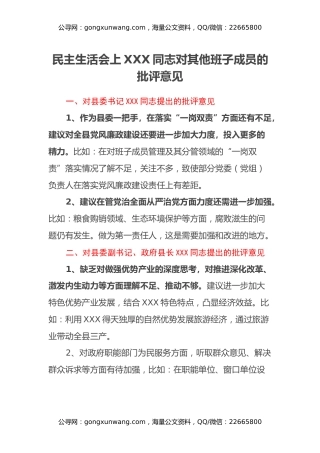 民主生活会上XXX同志对其他班子成员的批评意见