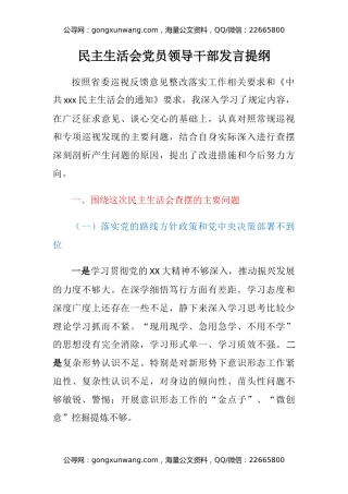 民主生活会党员领导干部发言提纲