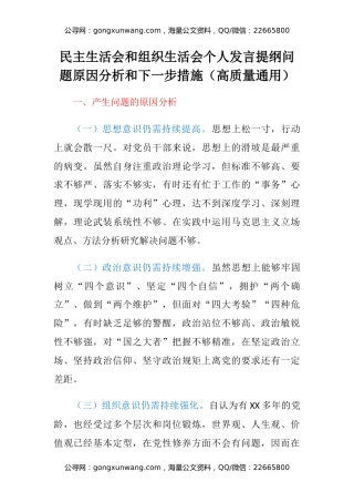 民主生活会和组织生活会个人发言提纲问题原因分析和下一步措施（高质量通用）