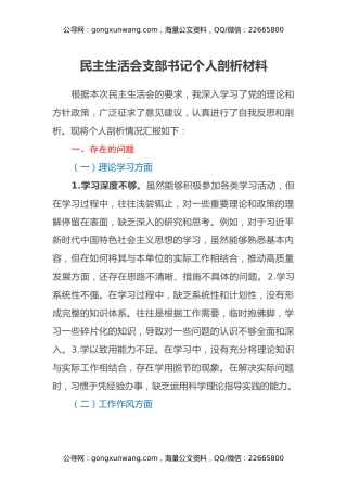 民主生活会支部书记个人剖析材料