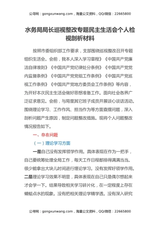 水务局局长巡视整改专题民主生活会个人检视剖析材料
