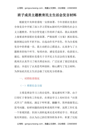 班子成员主题教育民主生活会发言材料