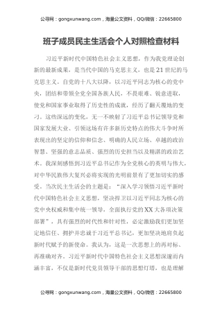 班子成员民主生活会个人对照检查材料