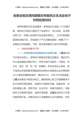 省委巡视反馈问题整改专题民主生活会班子对照检查材料