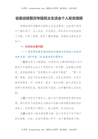 省委巡视整改专题民主生活会个人发言提纲