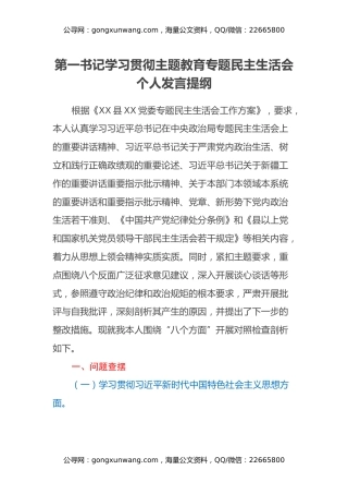 第一书记学习贯彻主题教育专题民主生活会个人发言提纲