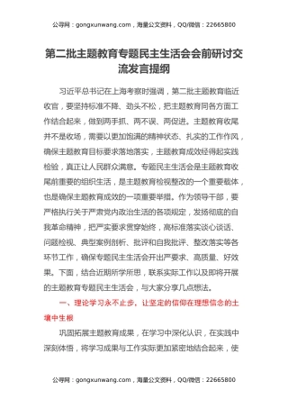 第二批主题教育专题民主生活会会前研讨交流发言提纲