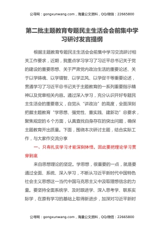 第二批主题教育专题民主生活会会前集中学习研讨发言提纲