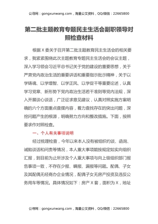 第二批主题教育专题民主生活会副职领导对照检查材料