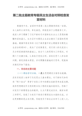 第二批主题教育专题民主生活会对照检查发言材料