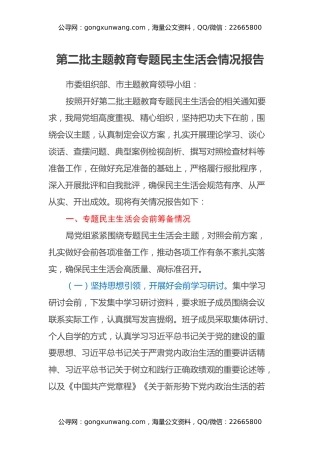 第二批主题教育专题民主生活会情况报告