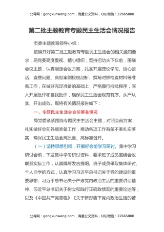 第二批主题教育专题民主生活会情况报告 (2)