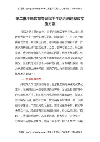第二批主题教育专题民主生活会问题整改实施方案