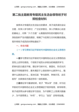 第二批主题教育专题民主生活会领导班子对照检查材料（5）