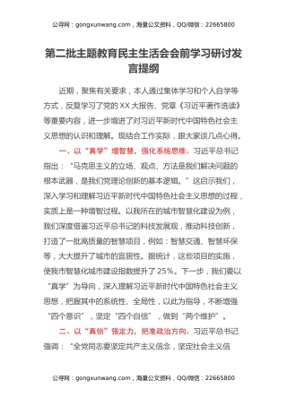 第二批主题教育民主生活会会前学习研讨发言提纲 (10)