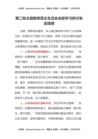 第二批主题教育民主生活会会前学习研讨发言提纲 (11)