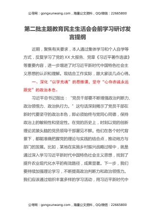 第二批主题教育民主生活会会前学习研讨发言提纲 (13)