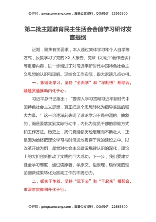 第二批主题教育民主生活会会前学习研讨发言提纲 (14)