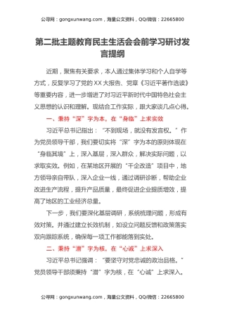 第二批主题教育民主生活会会前学习研讨发言提纲 (16)