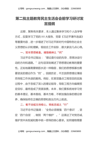 第二批主题教育民主生活会会前学习研讨发言提纲 (17)