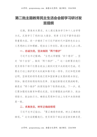 第二批主题教育民主生活会会前学习研讨发言提纲 (2)