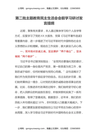 第二批主题教育民主生活会会前学习研讨发言提纲 (20)