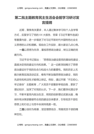 第二批主题教育民主生活会会前学习研讨发言提纲 (3)