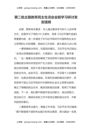 第二批主题教育民主生活会会前学习研讨发言提纲 (4)