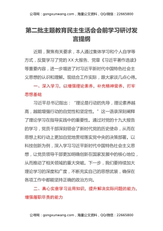 第二批主题教育民主生活会会前学习研讨发言提纲 (5)