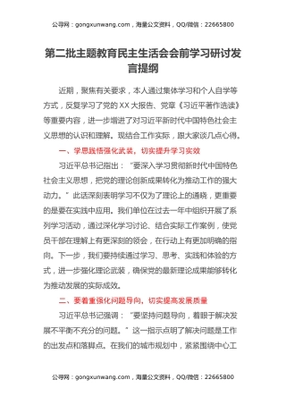 第二批主题教育民主生活会会前学习研讨发言提纲 (6)