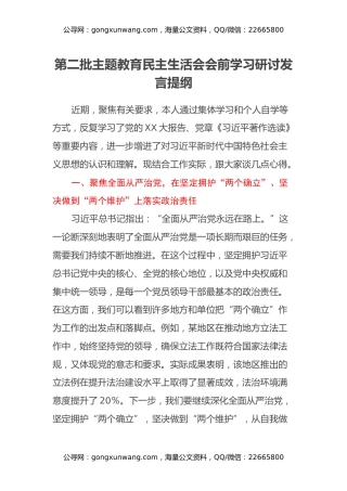 第二批主题教育民主生活会会前学习研讨发言提纲 (8)
