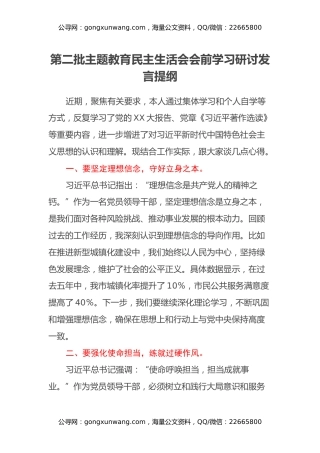 第二批主题教育民主生活会会前学习研讨发言提纲 (9)