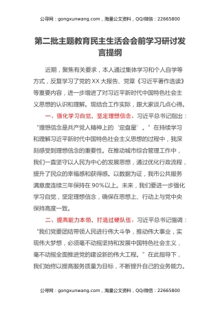 第二批主题教育民主生活会会前学习研讨发言提纲(1)