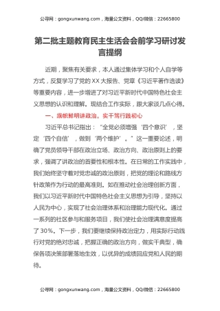 第二批主题教育民主生活会会前学习研讨发言提纲(2)